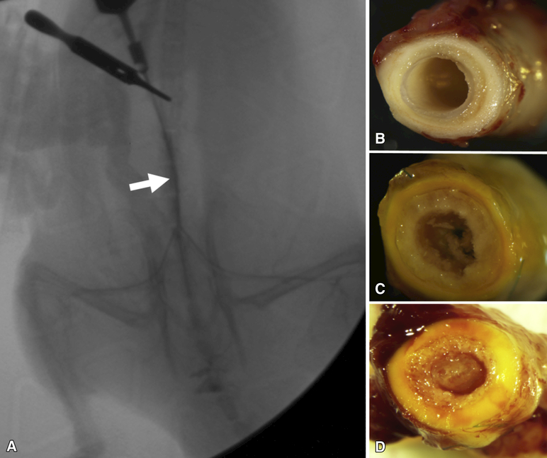 Figure 3: