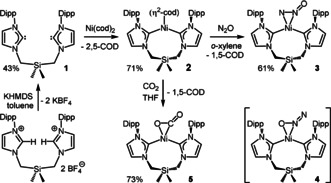 Scheme 1