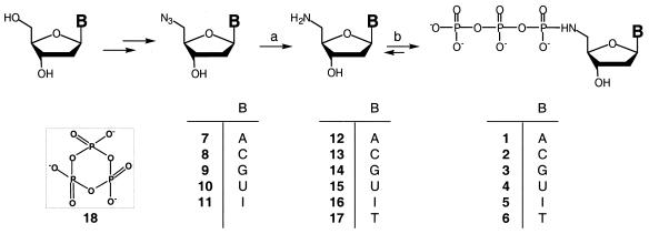 graphic file with name gkf502s1.jpg