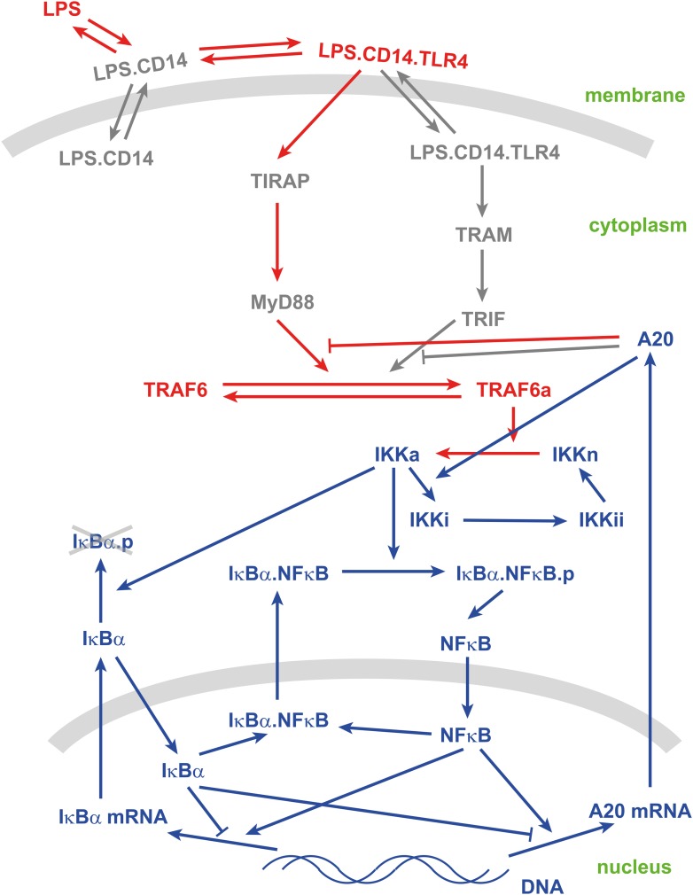 Appendix figure 1.