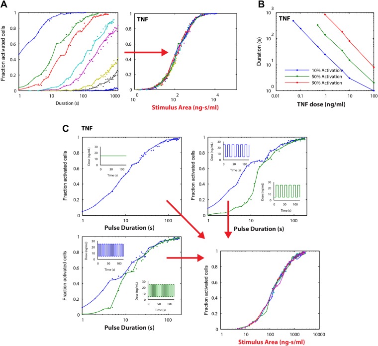 Figure 6—figure supplement 1.