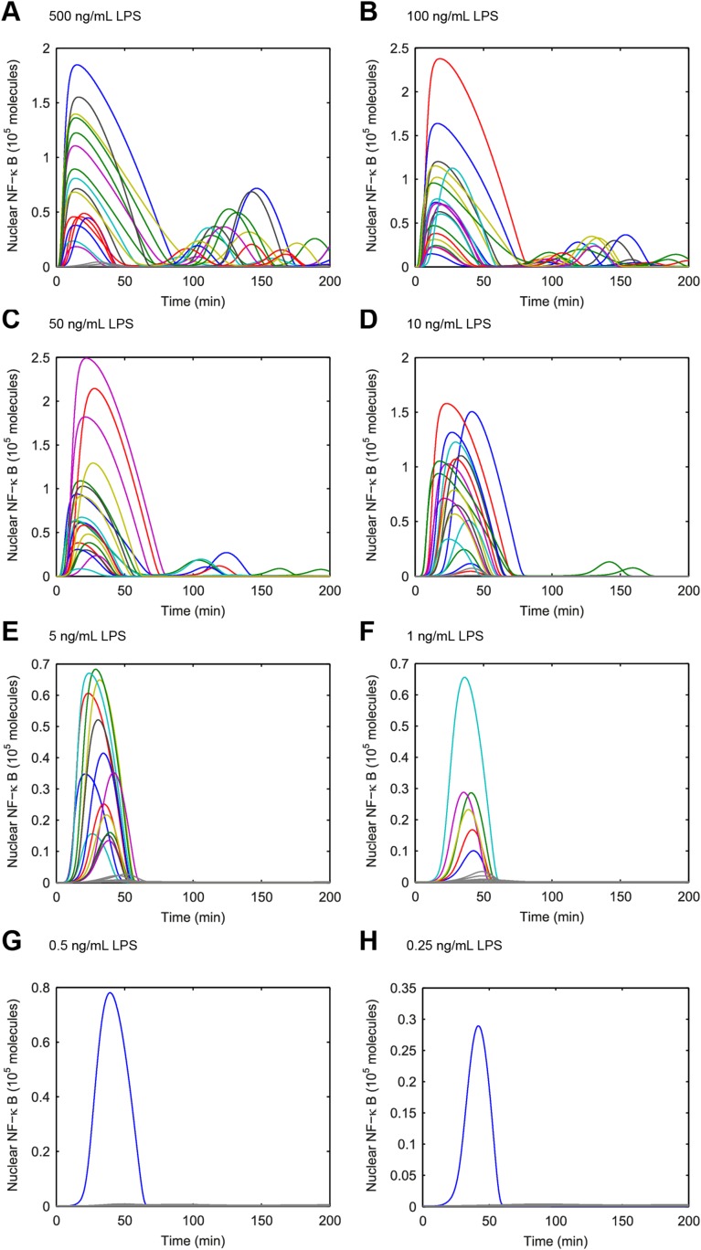 Figure 3—figure supplement 1.