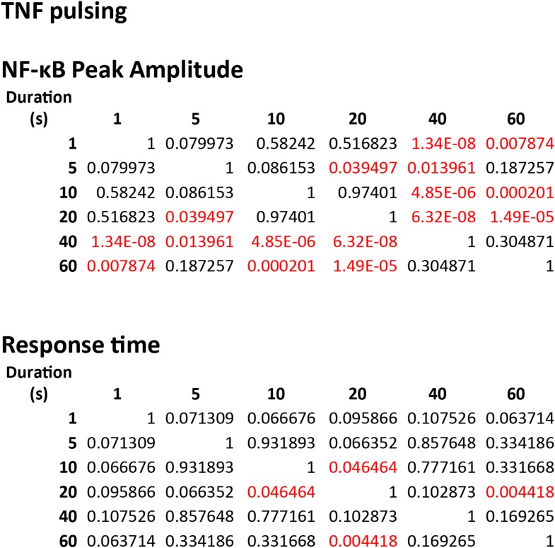 Figure 5—figure supplement 3.