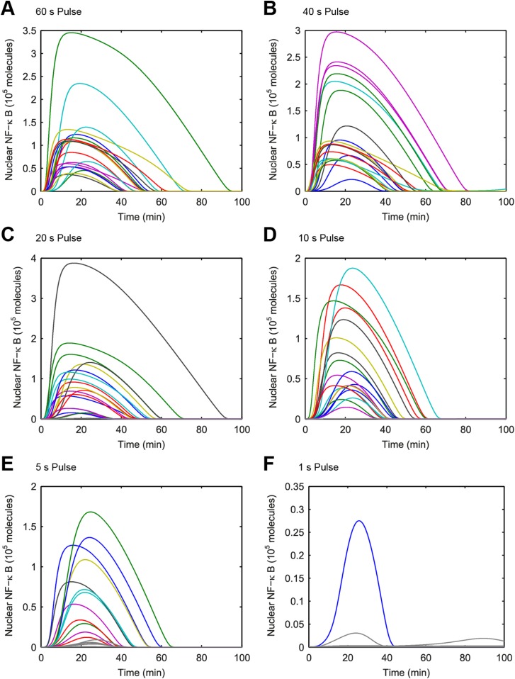 Figure 4—figure supplement 1.