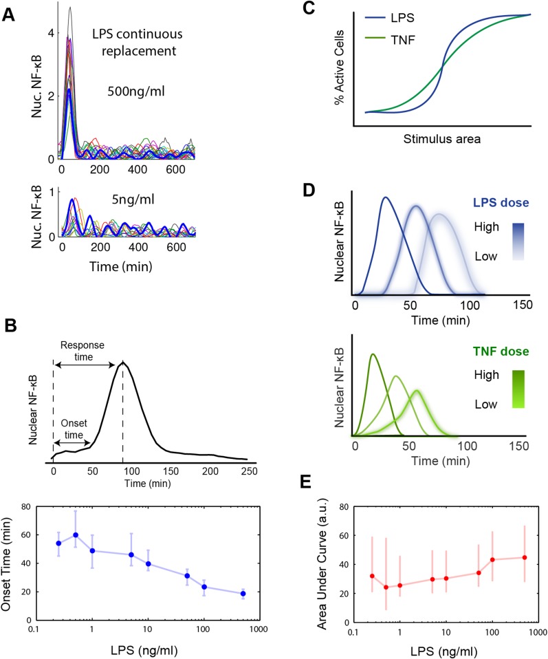 Figure 2—figure supplement 1.