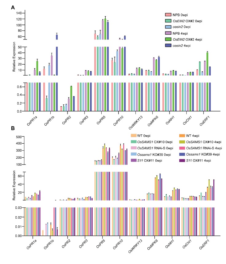 Figure 5—figure supplement 3.