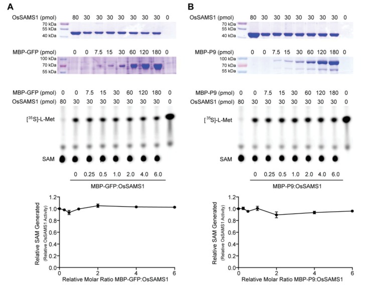 Figure 2—figure supplement 3.