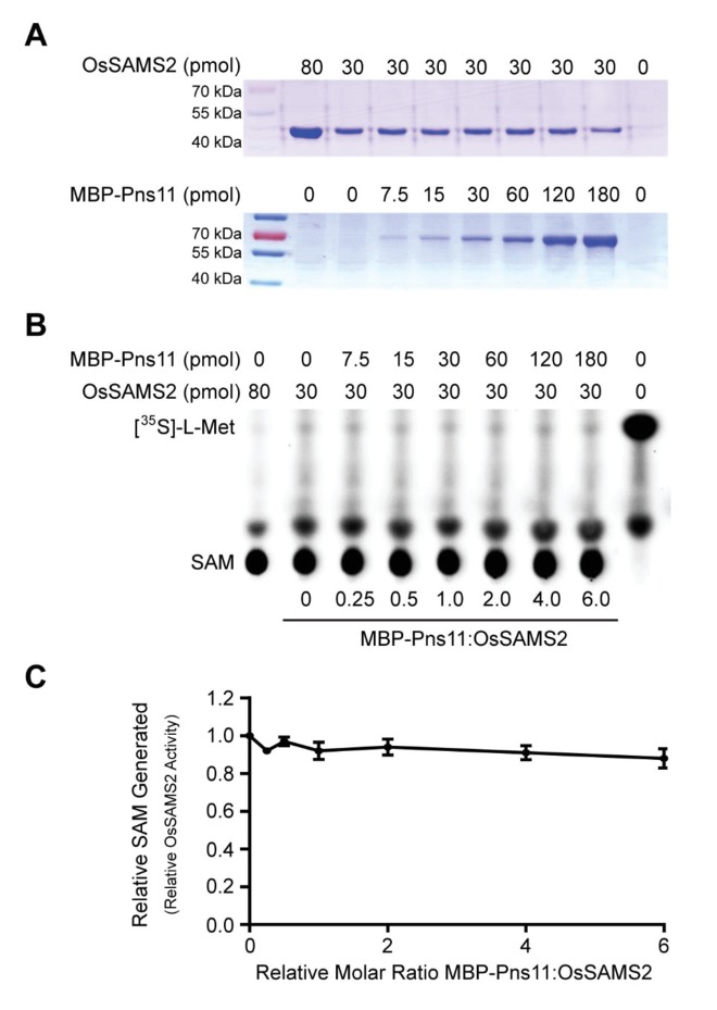 Figure 2—figure supplement 4.