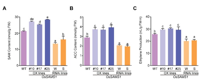 Figure 3—figure supplement 2.