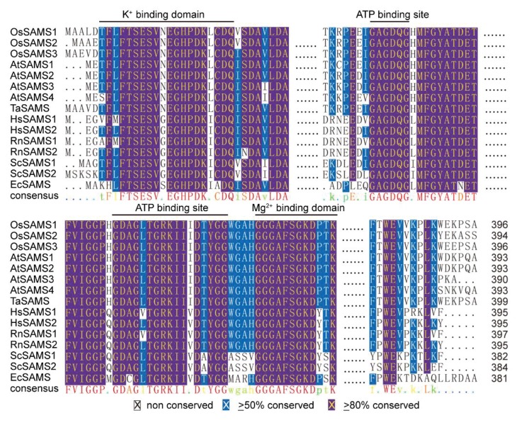 Figure 2—figure supplement 6.