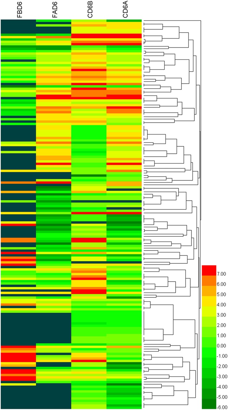 FIGURE 3