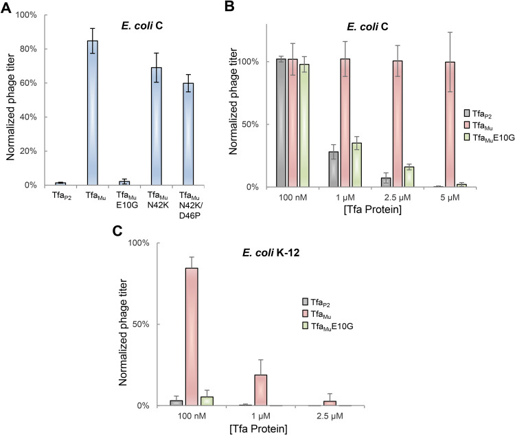 FIG 3