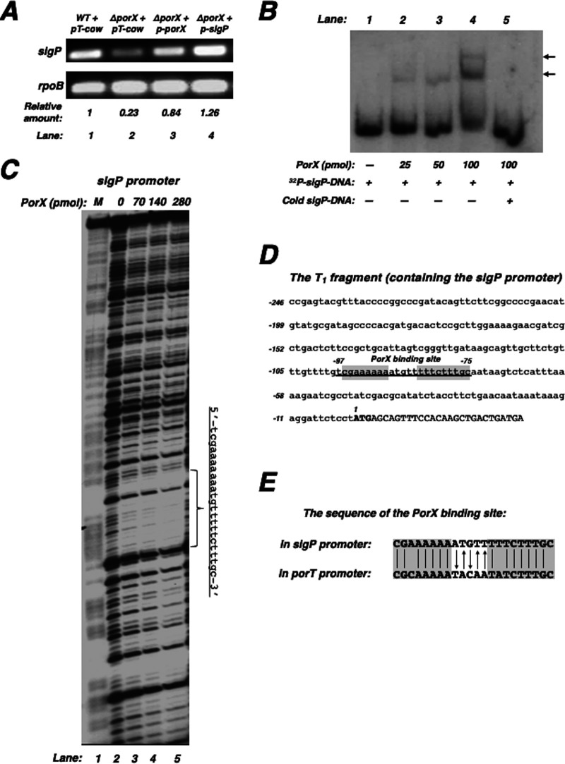 FIG 2