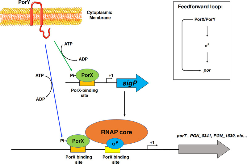 FIG 6