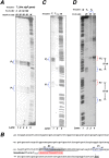 FIG 3