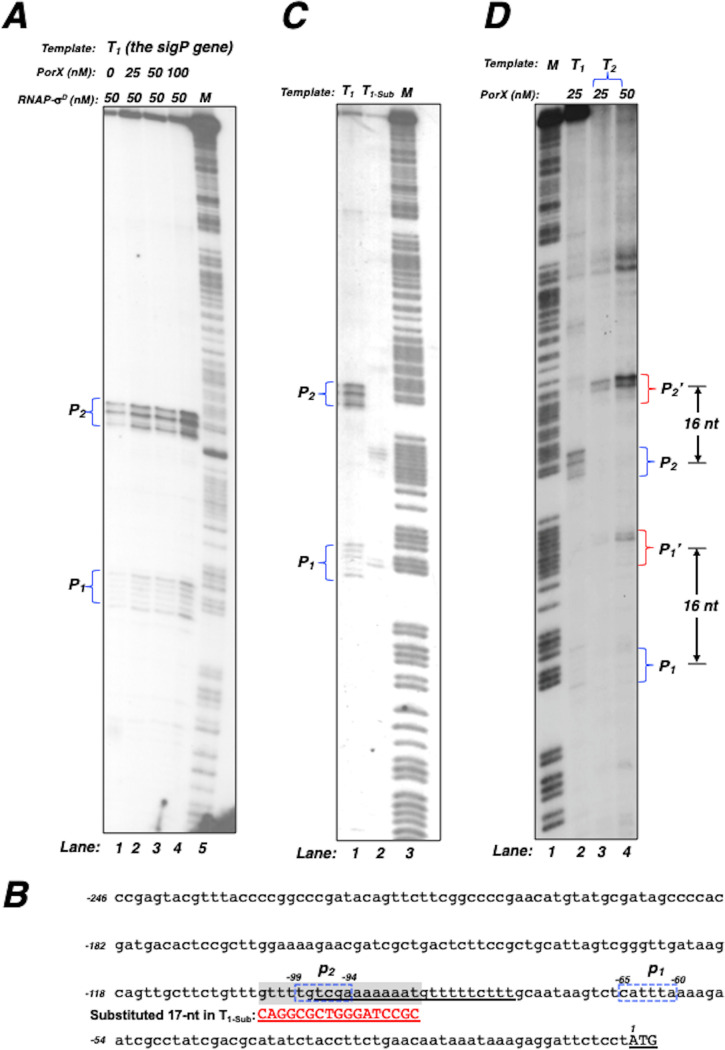 FIG 3