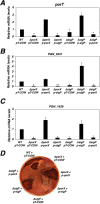 FIG 1