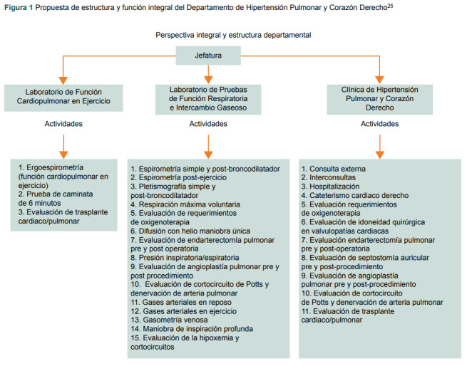 Figura 1 Propuesta de estructura y función integral del Departamento de Hipertensión Pulmonar y Corazón Derecho