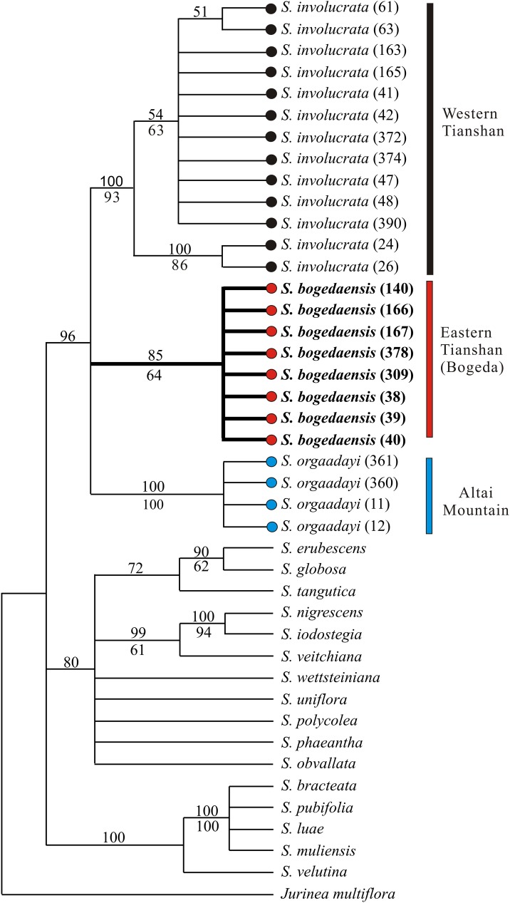 Fig 5