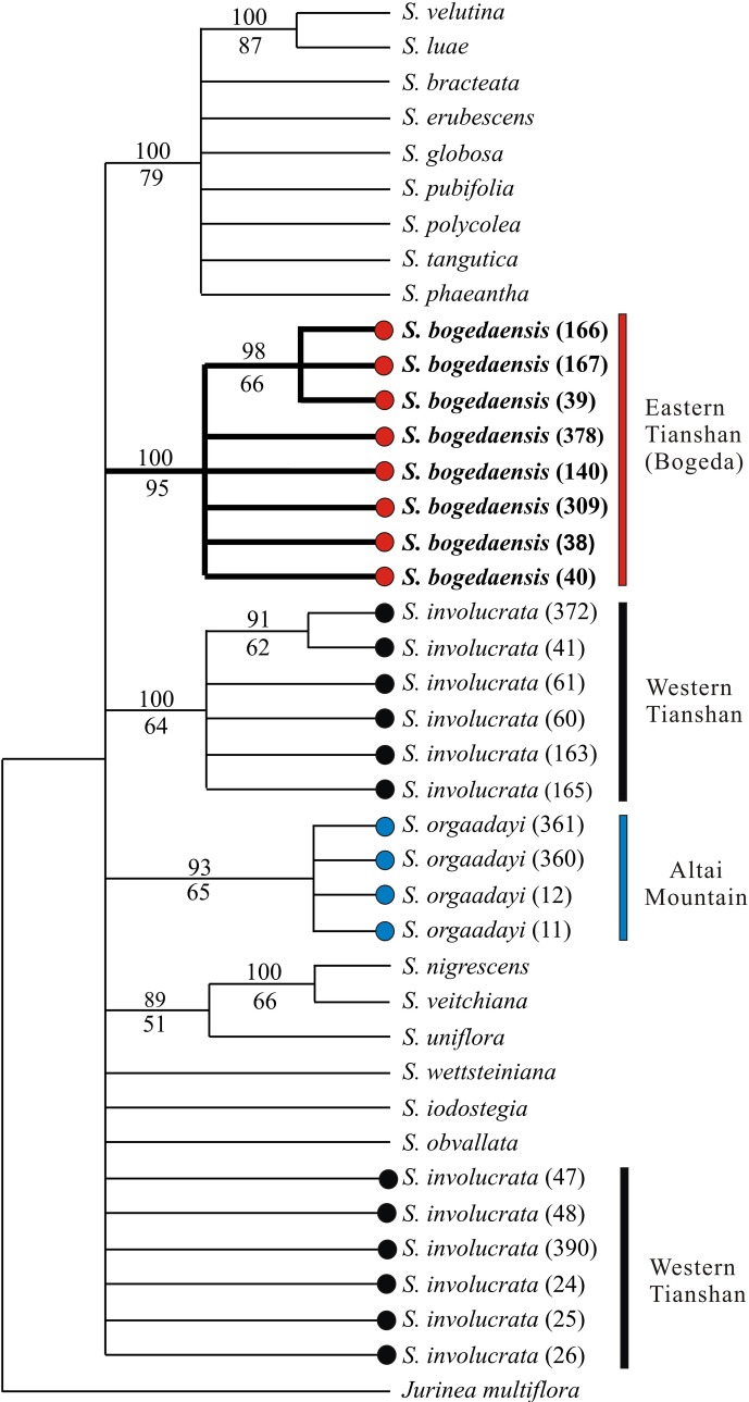 Fig 6