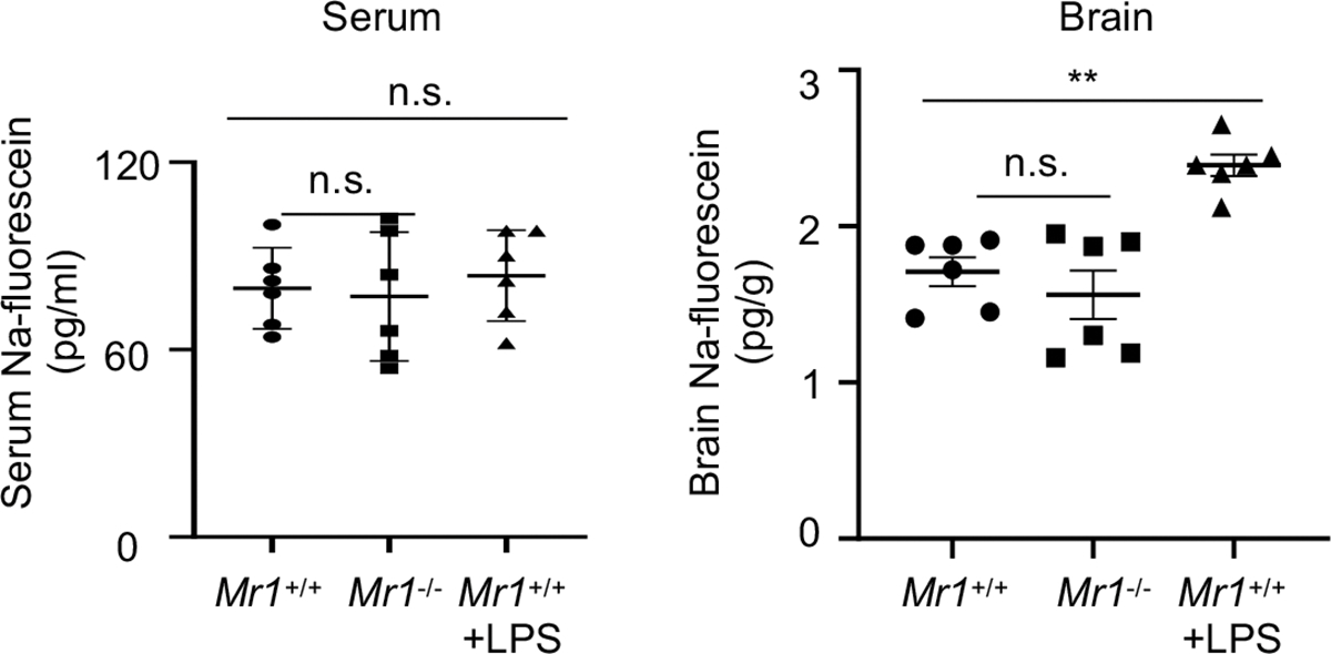 Extended Data Figure 4.