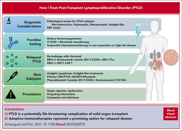 graphic file with name BLOOD_BLD-2023-020075-C-ga1.jpg