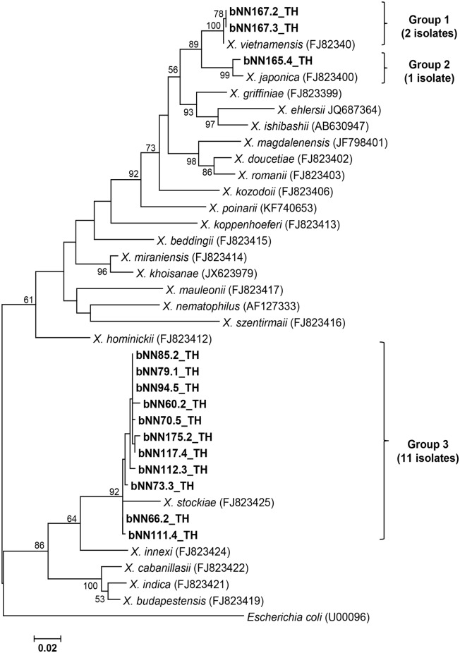 Fig 5