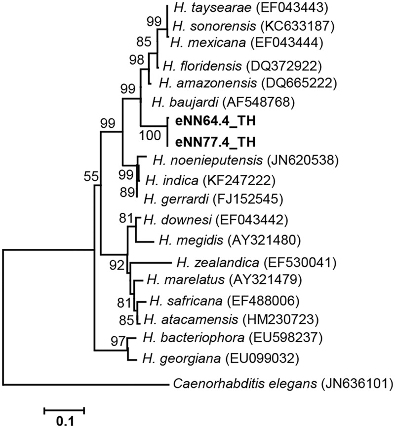 Fig 2