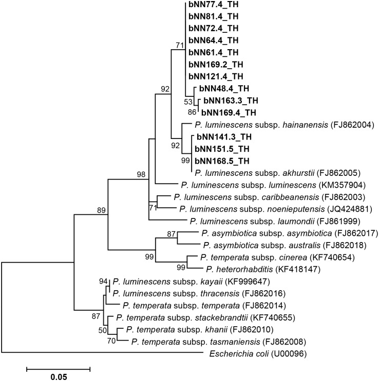 Fig 4