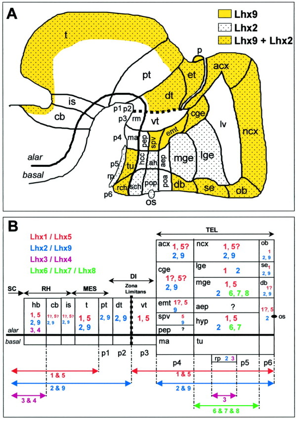 Fig. 8.