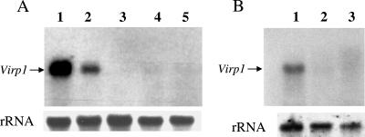 FIG. 5.