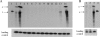 FIG. 6.