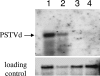 FIG. 8.