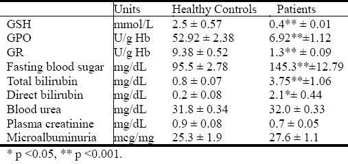 graphic file with name NAJMS-3-344-g001.jpg