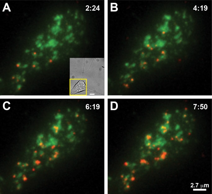 FIGURE 9: