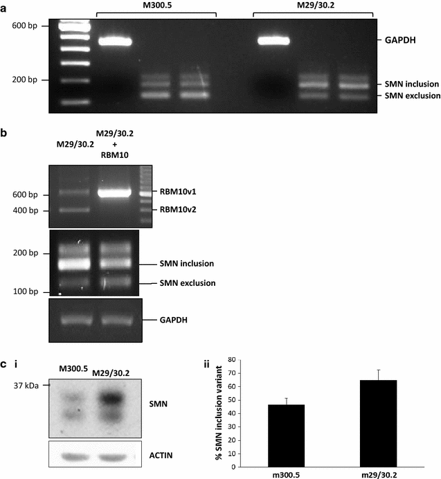 Fig. 7