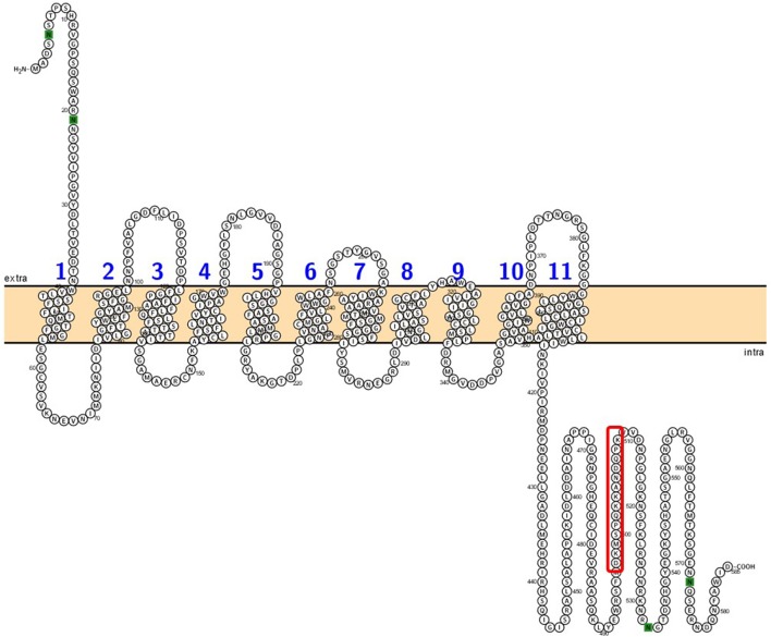 Figure 3