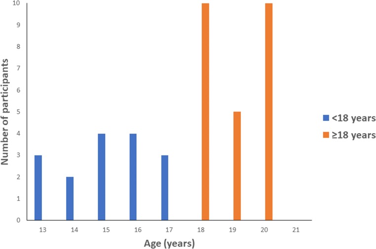 Fig. 1