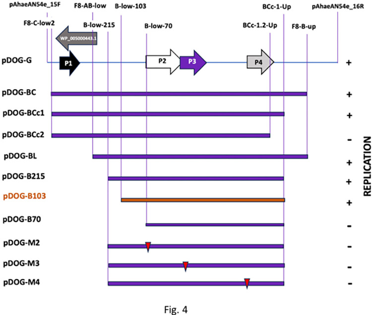 Fig 4