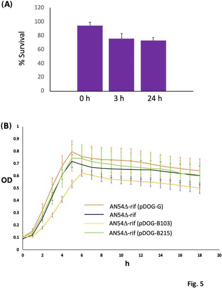 Fig 5