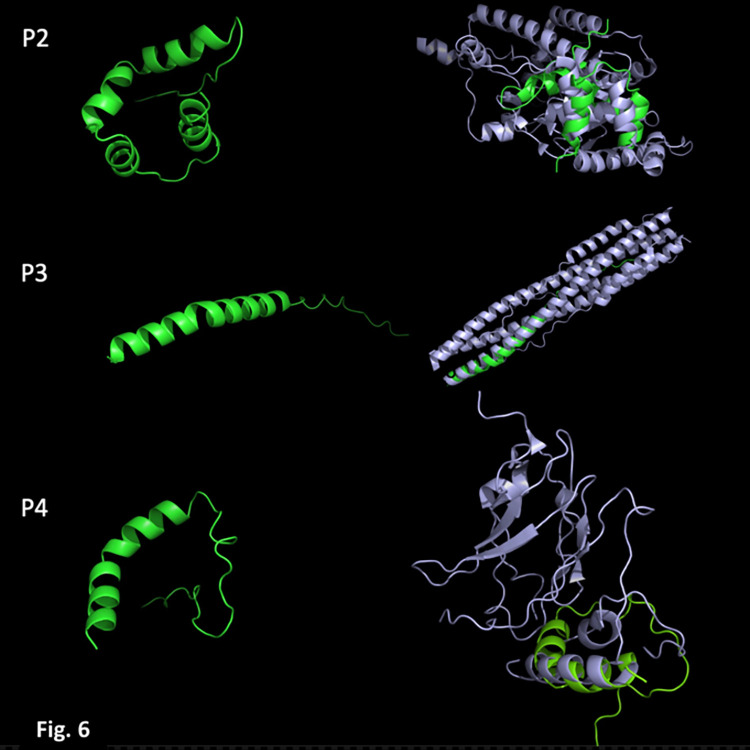 Fig 6