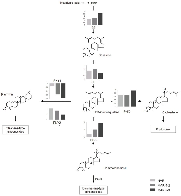 Fig. 3.