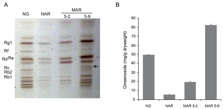 Fig. 5.