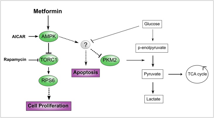 Fig 7