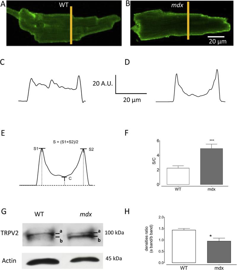 Fig. 4