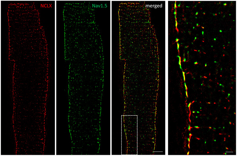 Figure 4.