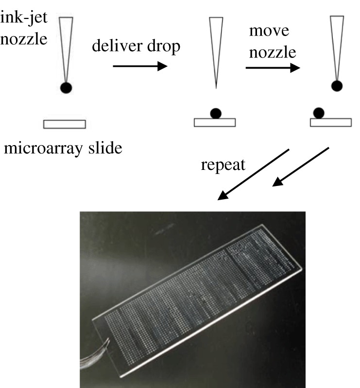 Figure 3.