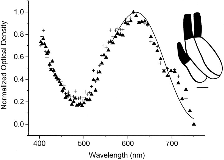 Fig. 2.