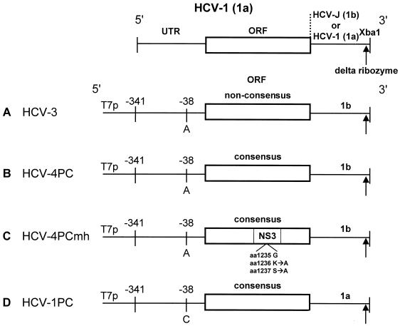 FIG. 1