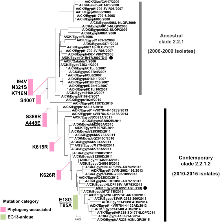 FIG 3